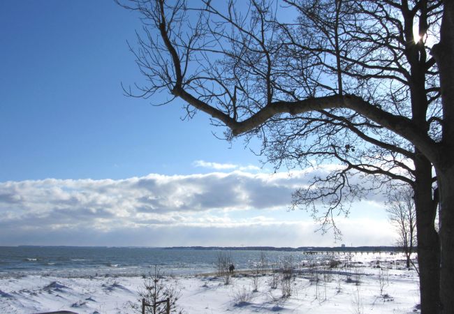 Festtage an der Ostseeküste